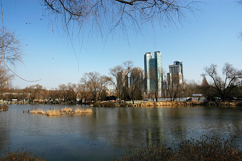 網上申報的流程